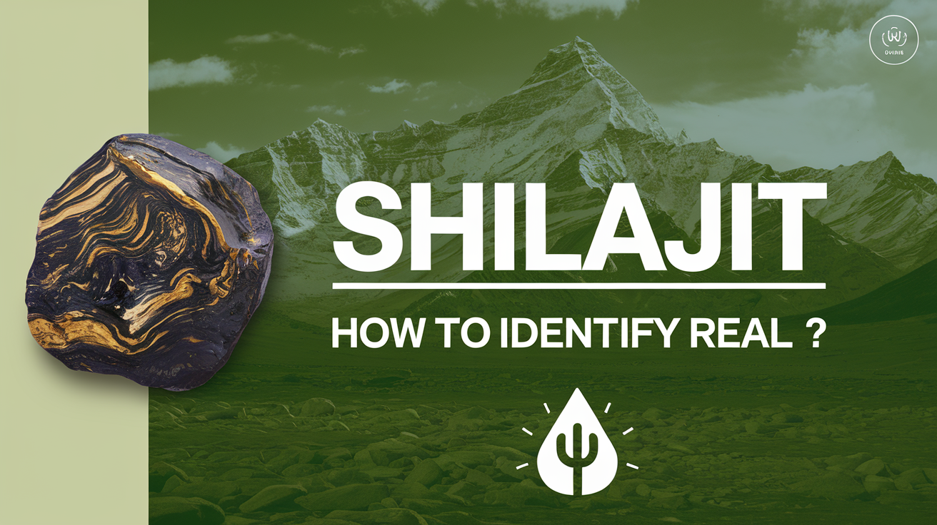 शिलाजीत: शुद्धता जांचें और स्वास्थ्य लाभ