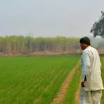 पाकिस्तानी नागरिक ने रामपुर में बेची जमीन, फर्जी पहचान से किया बड़ा खेल!