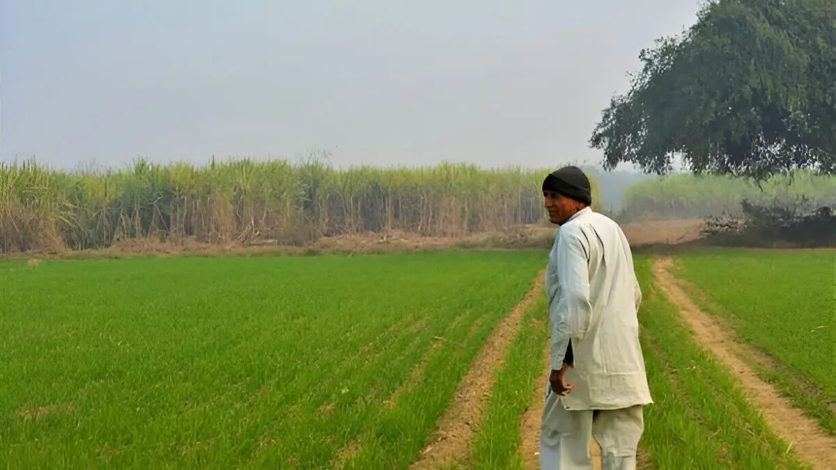 पाकिस्तानी नागरिक ने रामपुर में बेची जमीन, फर्जी पहचान से किया बड़ा खेल!