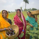 राजस्थान के किसानों के खातों में पहुंचेगा 1121 करोड़ का बीमा क्लेम, छत्तीसगढ़ को मिलेंगे 150 करोड़!