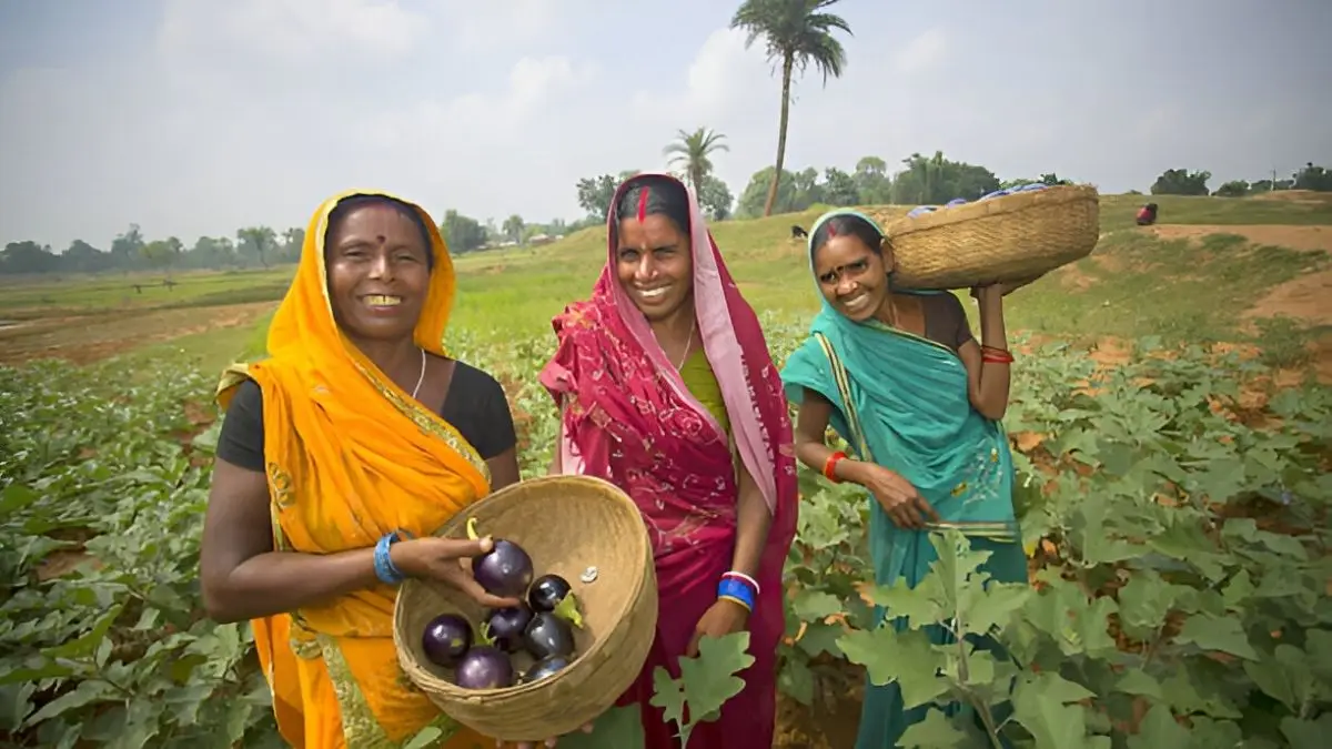 राजस्थान के किसानों के खातों में पहुंचेगा 1121 करोड़ का बीमा क्लेम, छत्तीसगढ़ को मिलेंगे 150 करोड़!