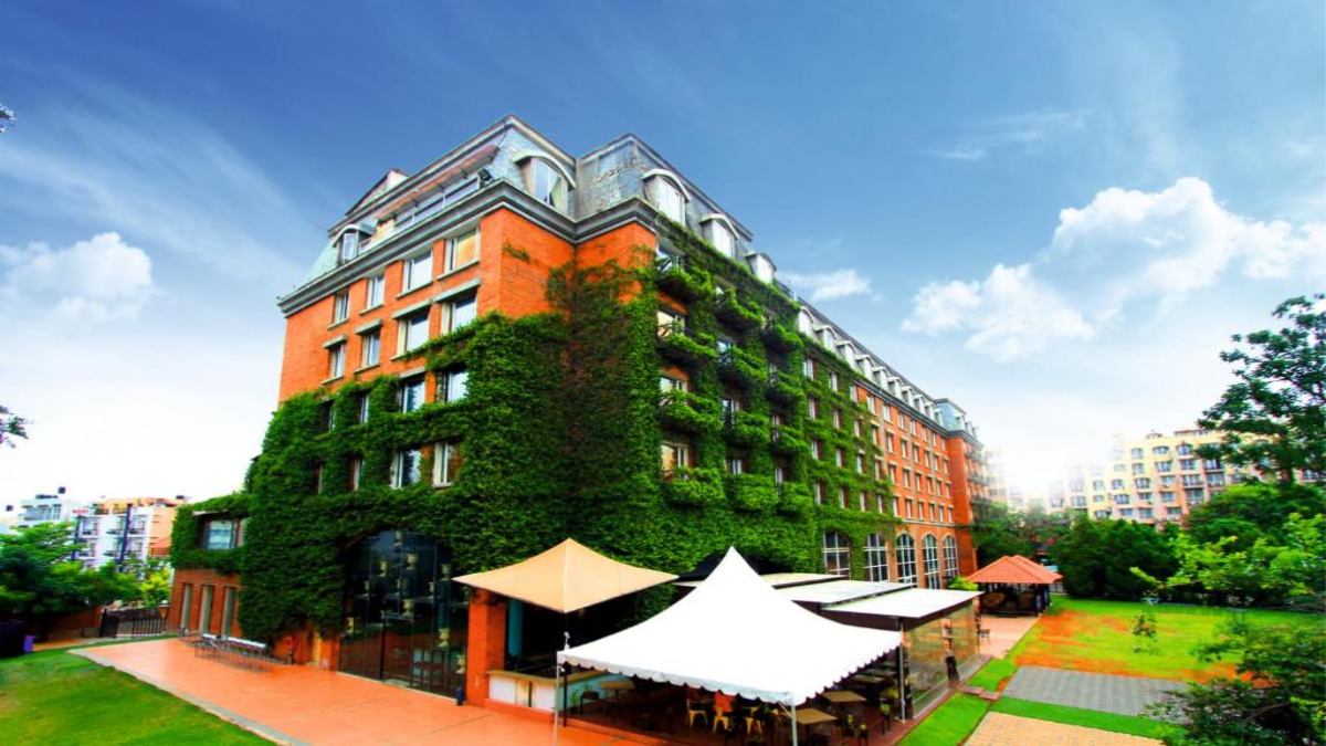 royal-orchid-hotels-stock-price-fall-investment-opportunity-tips