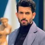 naagin-7-lead-hero-namik-paul-career-struggle-priyanka-chahar-choudhary