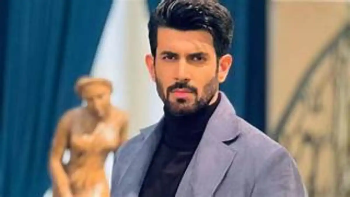 naagin-7-lead-hero-namik-paul-career-struggle-priyanka-chahar-choudhary