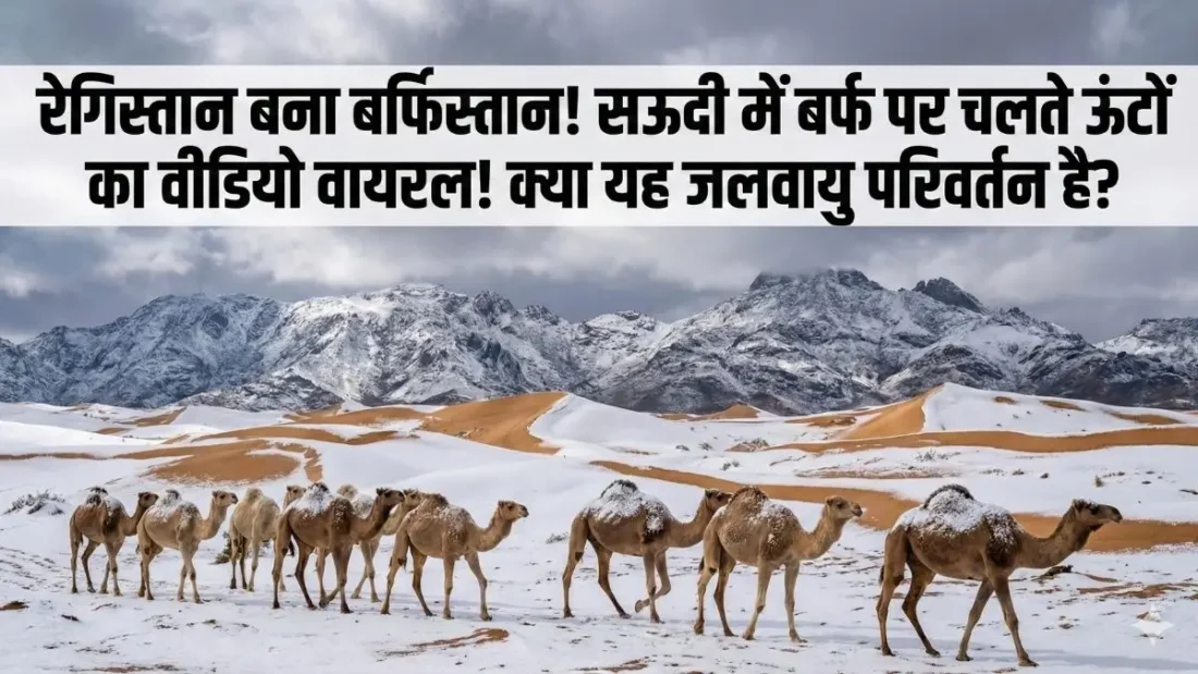 कुदरत का करिश्मा या तबाही की दस्तक? सऊदी अरब के तपते रेगिस्तान में बिछी बर्फ की सफेद चादर, 30 साल बाद दिखा ऐसा नजारा!