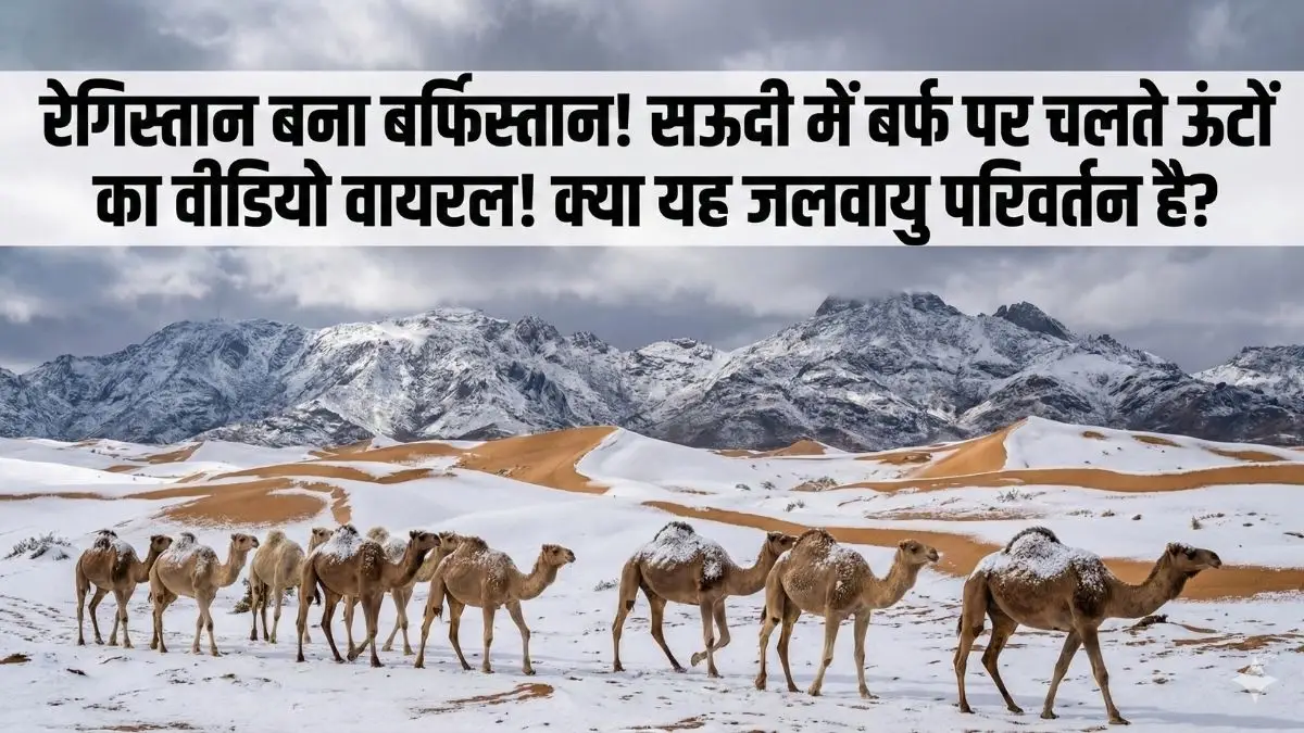 कुदरत का करिश्मा या तबाही की दस्तक? सऊदी अरब के तपते रेगिस्तान में बिछी बर्फ की सफेद चादर, 30 साल बाद दिखा ऐसा नजारा!