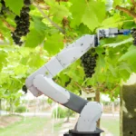 india-agriculture-news-2025-vbg-ram-g-act-drone-farming-msp-update