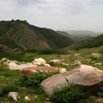 aravali-hills-extinction-threat-2059-supreme-court-update