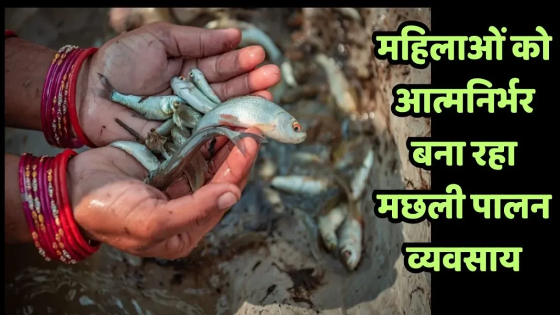 up-women-empowerment-fish-farming-success-story-banda