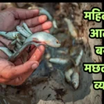 up-women-empowerment-fish-farming-success-story-banda