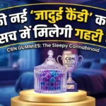 रात भर करवटें बदलना होगा बंद! 'Sleepy Cannabinoid' CBN Gummies ने मचाई धूम, जानें क्या है यह जादुई चीज़