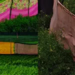 bharatpur-farmers-using-old-sarees-to-protect-crops-from-stray-animals