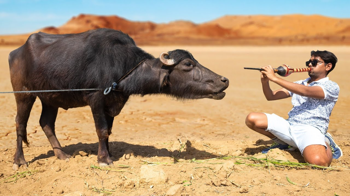 burhanpur-farmers-protest-pangri-dam-compensation-unique-style