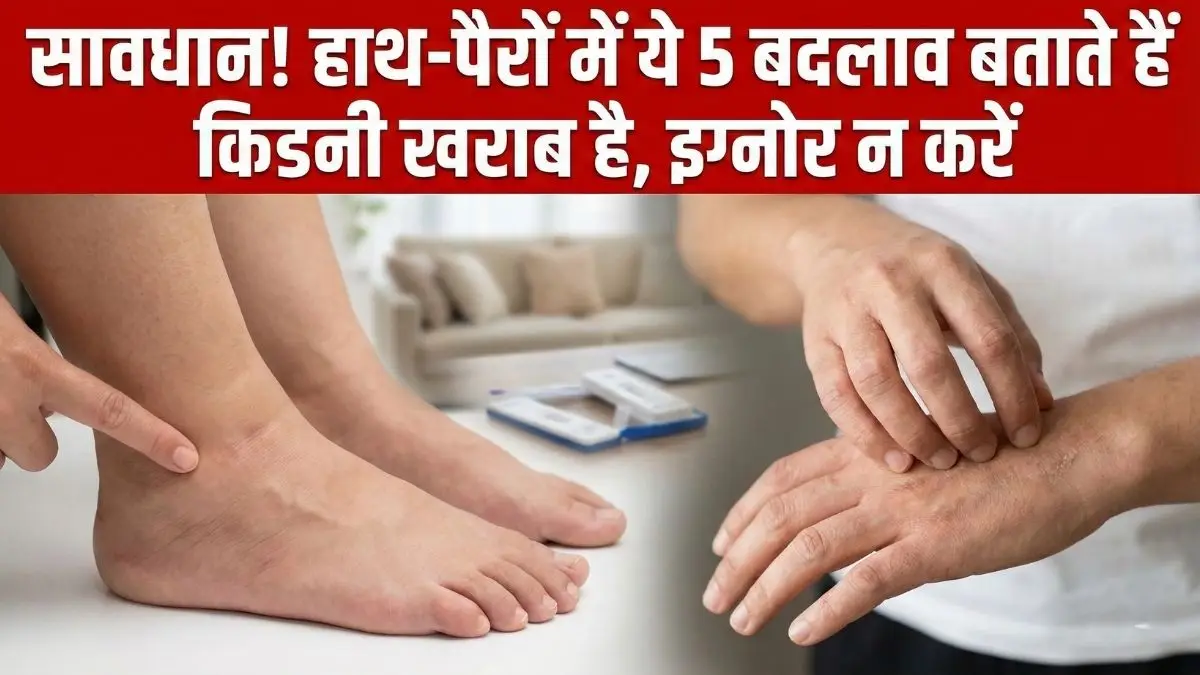 सावधान! अगर हाथ-पैरों में दिख रहे हैं ये 5 बदलाव, तो समझो खतरे में है आपकी किडनी; भूलकर भी न करें इग्नोर सावधान! अगर हाथ-पैरों में दिख रहे हैं ये 5 बदलाव, तो समझो खतरे में है आपकी किडनी; भूलकर भी न करें इग्नोर