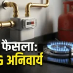 PNG Mandate: जहां पाइपलाइन वहां PNG लेना अनिवार्य, नया नियम