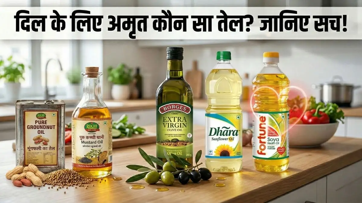 Cooking Oil: सेहत के लिए कौन सा तेल है सबसे बेस्ट?